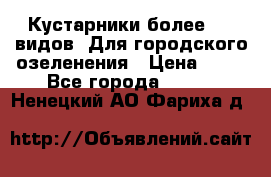 Кустарники более 100 видов. Для городского озеленения › Цена ­ 70 - Все города  »    . Ненецкий АО,Фариха д.